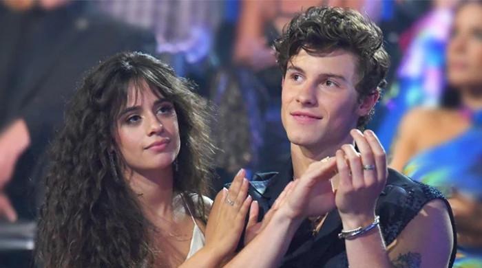 Camilla Cabello, Shawn Mendes still ‘love’ each other: Source