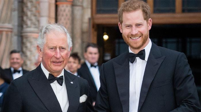 Prince Harry rejected King Charles olive branch during recent UK visit?