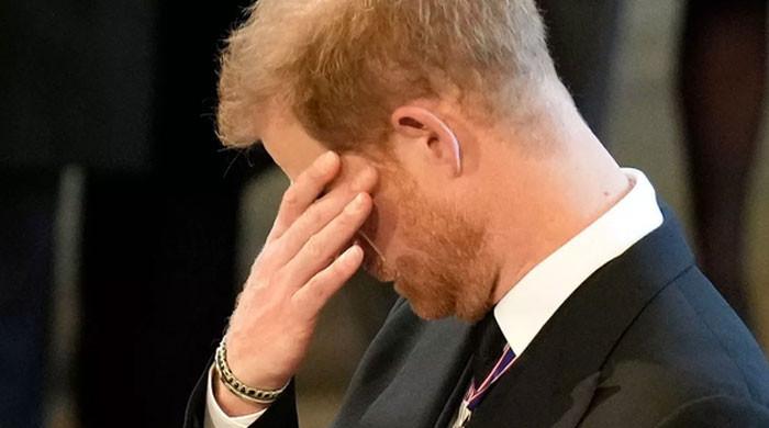 Prince Harry seeks Royal redemption with ‘part time’ role