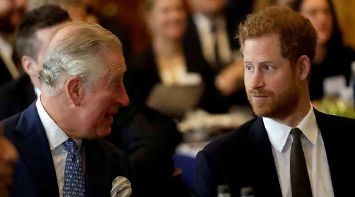 King Charles, Prince Harry meeting expected after William reunion